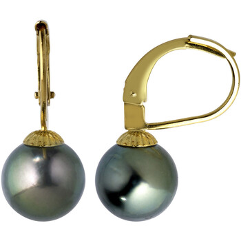 Boucles oreilles Brillaxis  Boucles d'oreilles dormeuses or perles de Tahiti  8/9 mm - Brillaxis