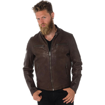 Veste Daytona  TRITON COW VEG  DARK BROWN - Daytona