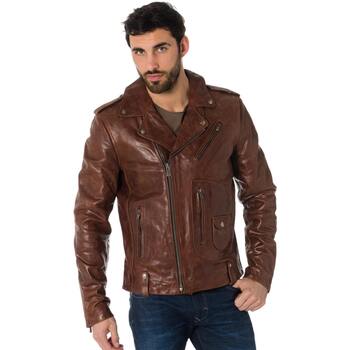 Veste Daytona  REDFORD COW PULL UP BRANDY - Daytona