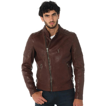 Veste Daytona  TRUCKSTON COW VEG BRANDY - Daytona
