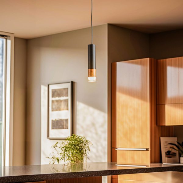 Envostar Fida suspension