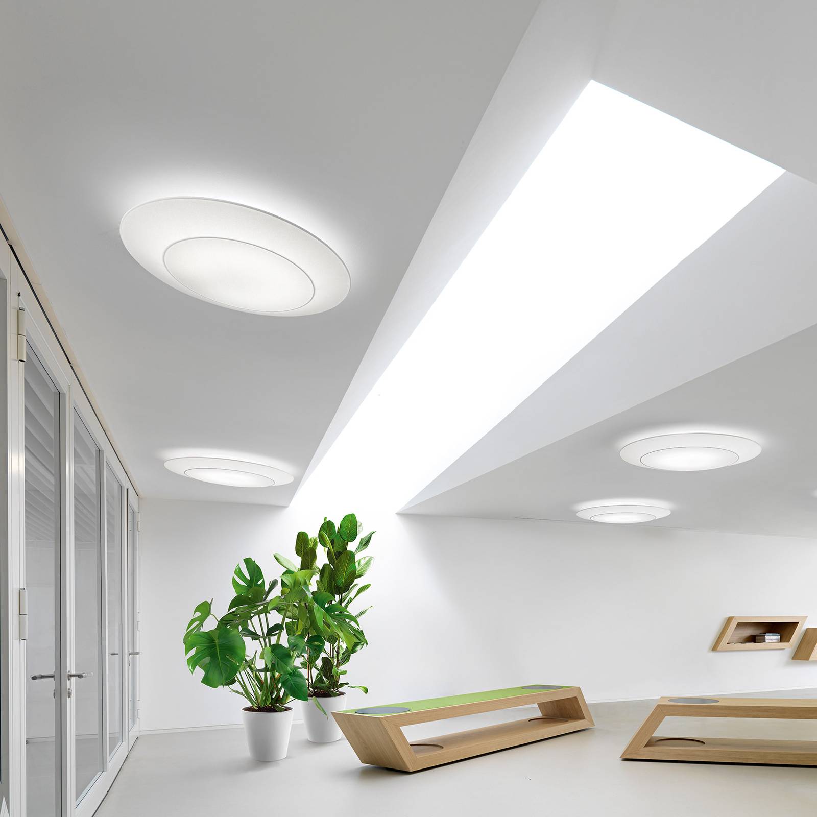 Modo Luce Ring Tonda plafonnier TRIAC blanc Ø65cm Modo Luce