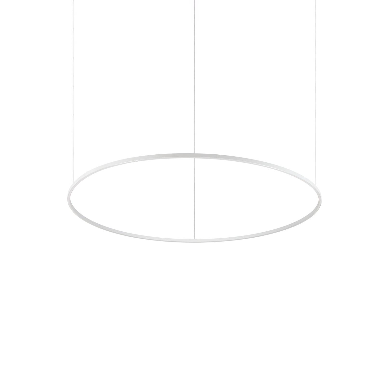 Ideallux Ideal Lux Suspension LED Oracle Slim blanc 4.000 K Ø 150 cm Ideallux