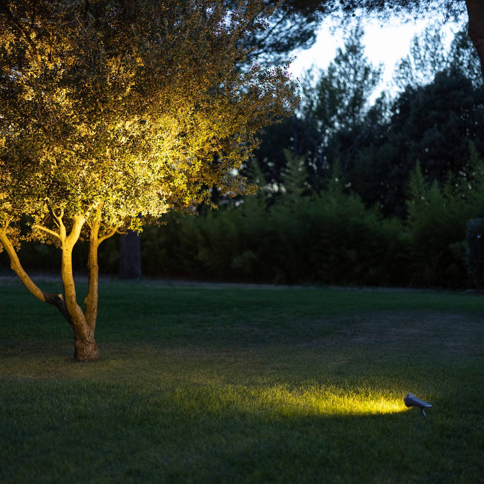 Les Jardins Spot solaire LED Spot capteur lumière du jour