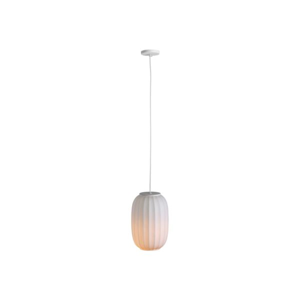 Carpyen Suspension Mei