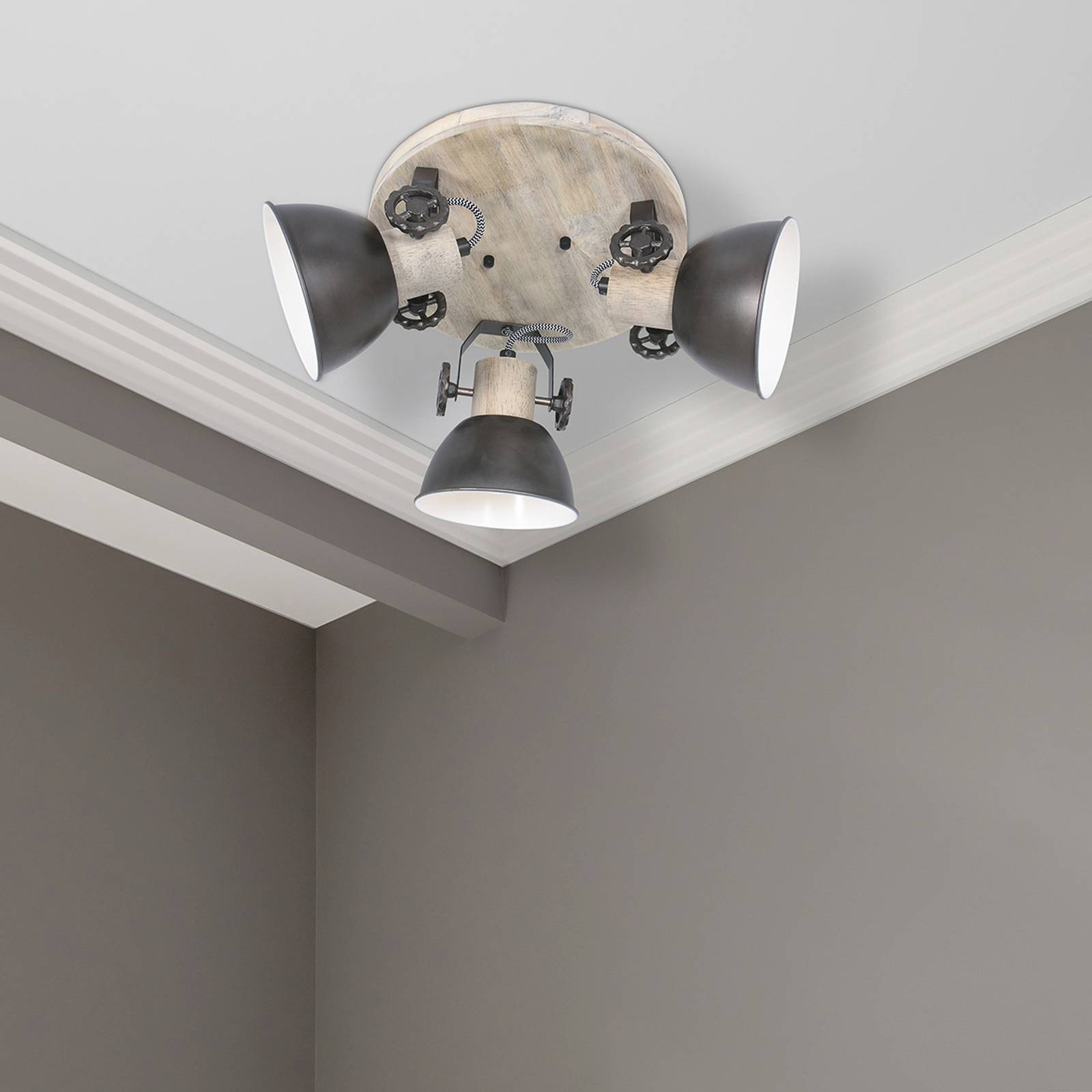 Steinhauer Spot plafond Gearwood