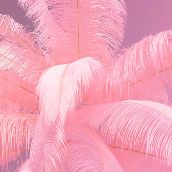 KARE Feather Palm lampe sur pied plumes, rose Kare