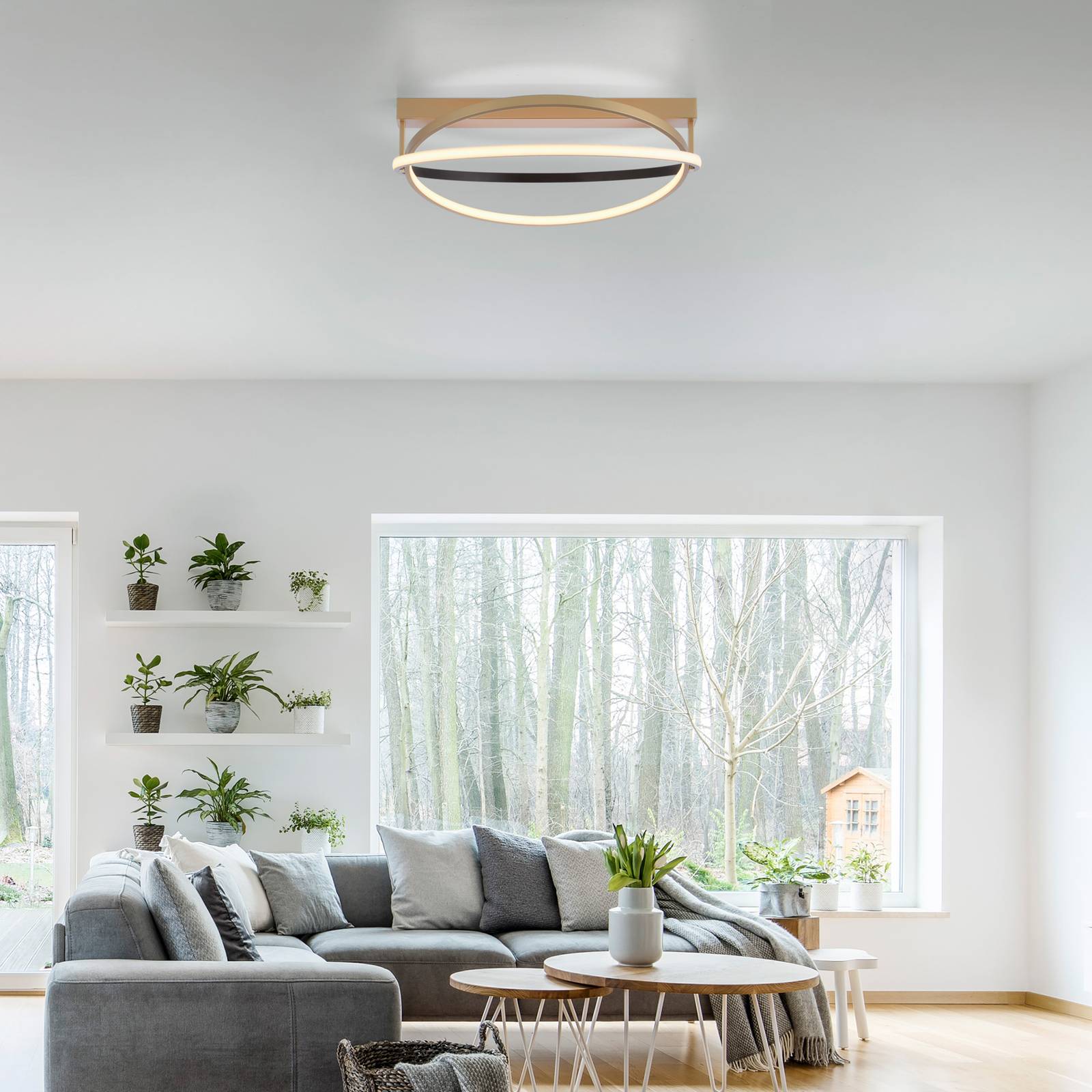 Q-Smart-Home Paul Neuhaus Q-Beluga plafonnier LED