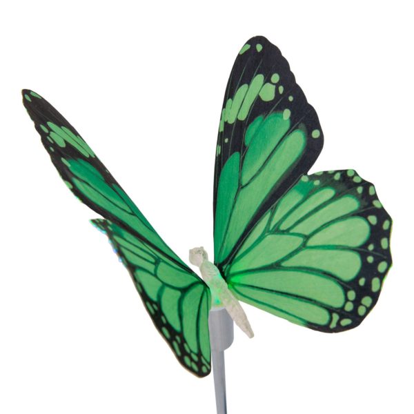 Näve Lampe solaire déco Papillon, piquet, LED RVB Näve
