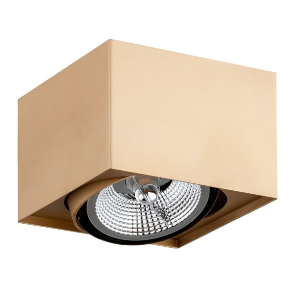 Argon Spot pour plafond Riesta