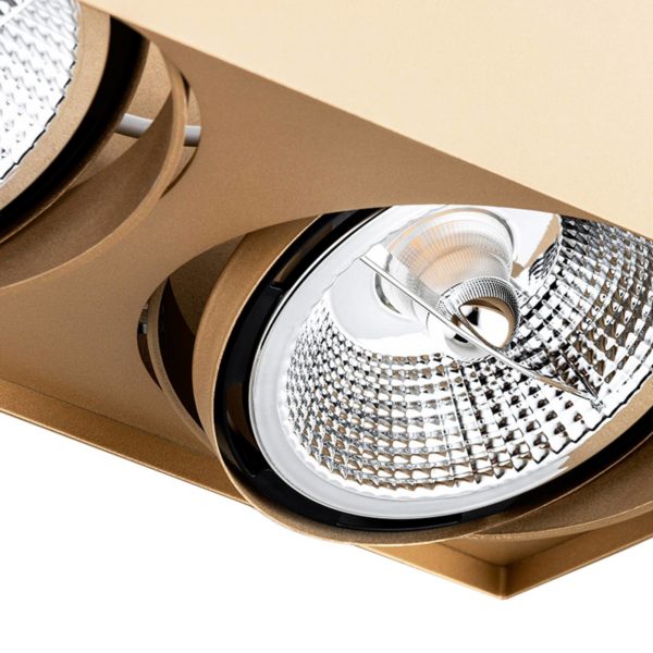 Argon Spot pour plafond Riesta