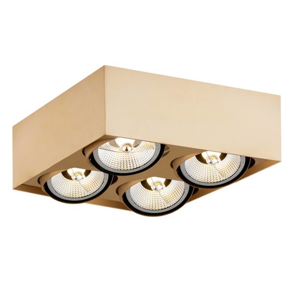 Argon Spot pour plafond Riesta