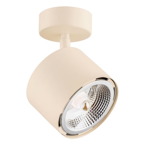 Argon Spot pour plafond Chloe réglable à 1 lampe