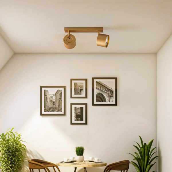Argon Spot pour plafond Chloe réglable à 2 lampes