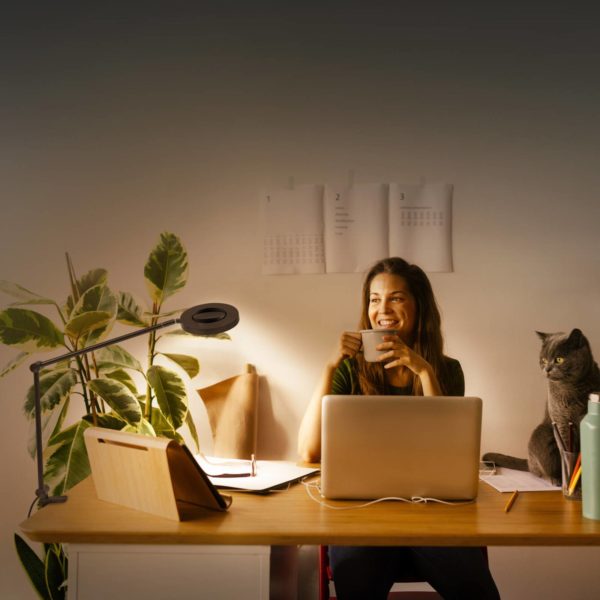 LEDVANCE SMART+ LEDVANCE SUN@Home Panan Desk Disc, pince, noir LEDVANCE SMART+