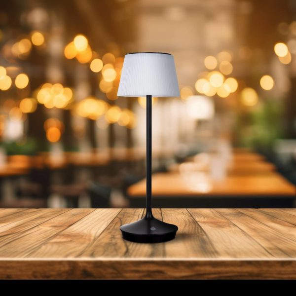 Näve Lampe table solaire LED Emmi CCT recharge