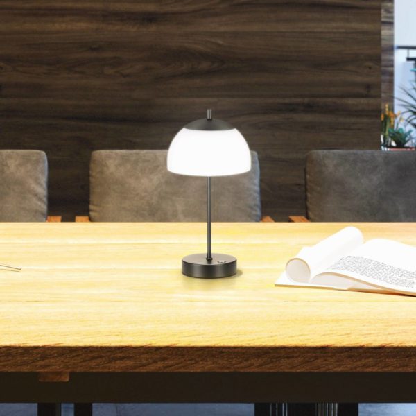 FH Lighting Lampe de table LED à accu Riva