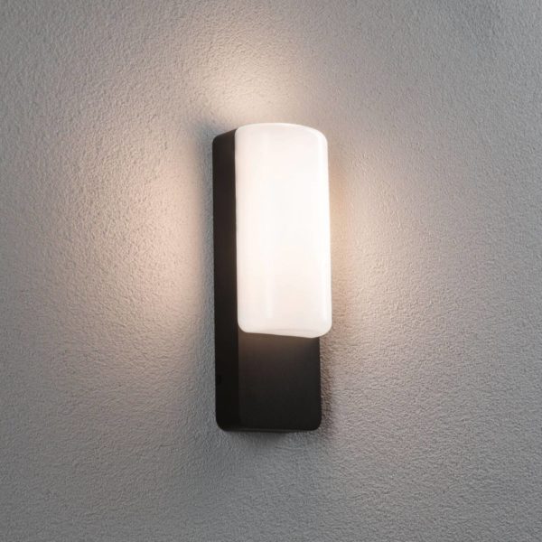 Paulmann Applique d'extérieur LED Bonnie