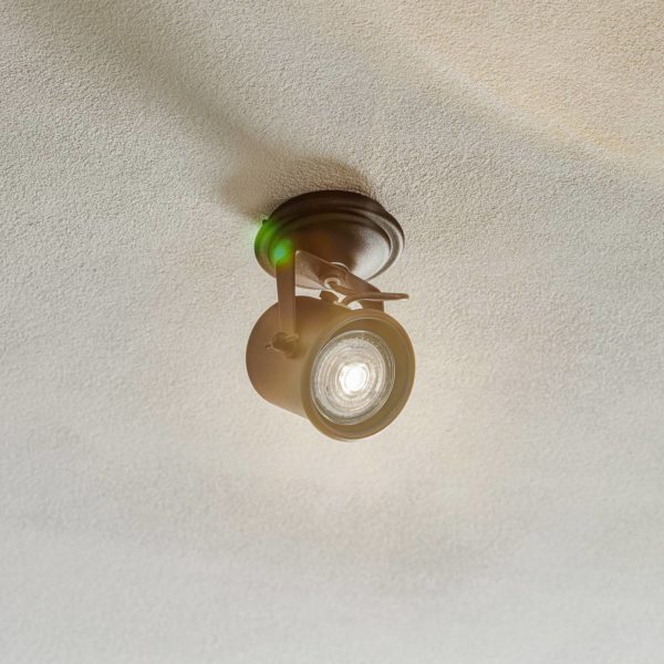 Argon Spot pour plafond Canico à une lampe