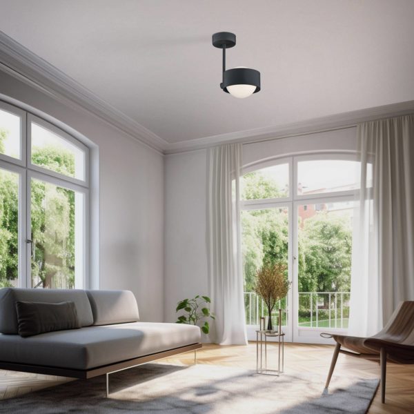 Argon Plafonnier Mado en acier, noir, à une lampe Argon