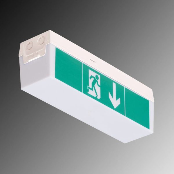 B-Safety Luminaire pictogramme LED C-Lux Standard, 3 heures B-Safety