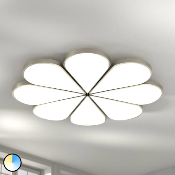 HELL Plafonnier LED Flower, CCT, Ø 81 cm HELL