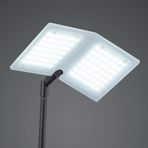BANKAMP Book lampadaire LED noir BANKAMP