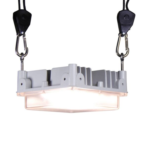 Bioledex LED ampoule pour plantes GoLeaf Q1 S1 45 Watt Bioledex