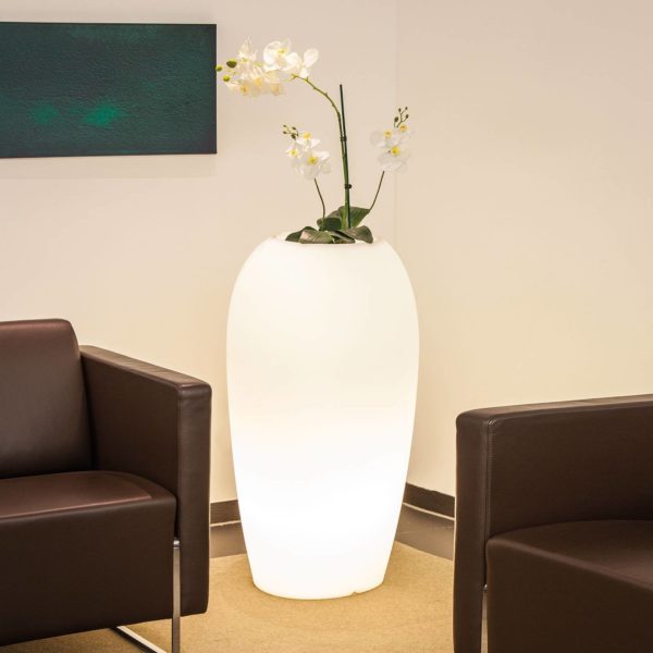 degardo Lampe Storus V pour plantes