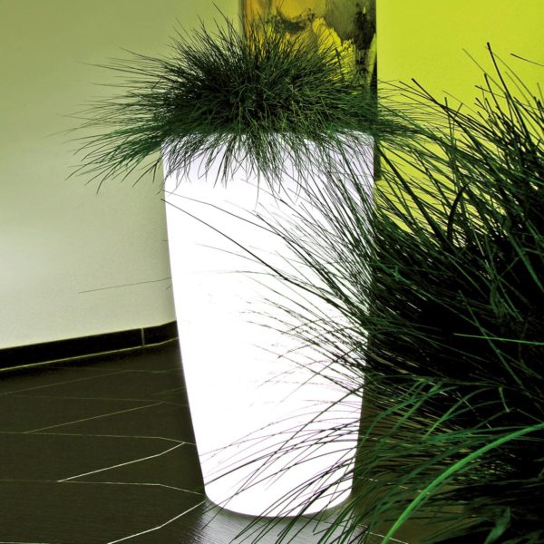 degardo Lampe Rovio IV pour plantes, blanc transparent degardo