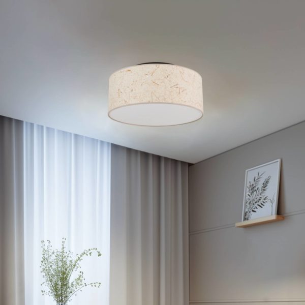 EMIBIG LIGHTING Plafonnier Aston