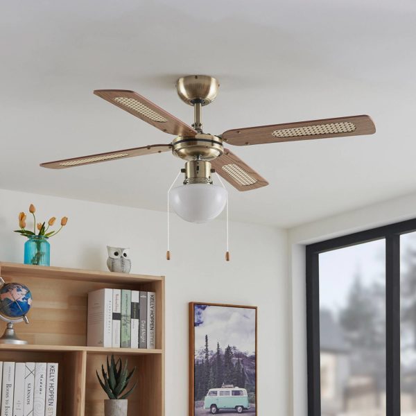 Lindby Ventilateur de plafond avec lumière Rakan