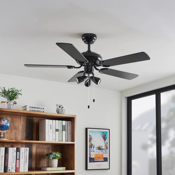 Lucande ventilateur de plafond avec lumière Anariki, silencieux, noir LUCANDE