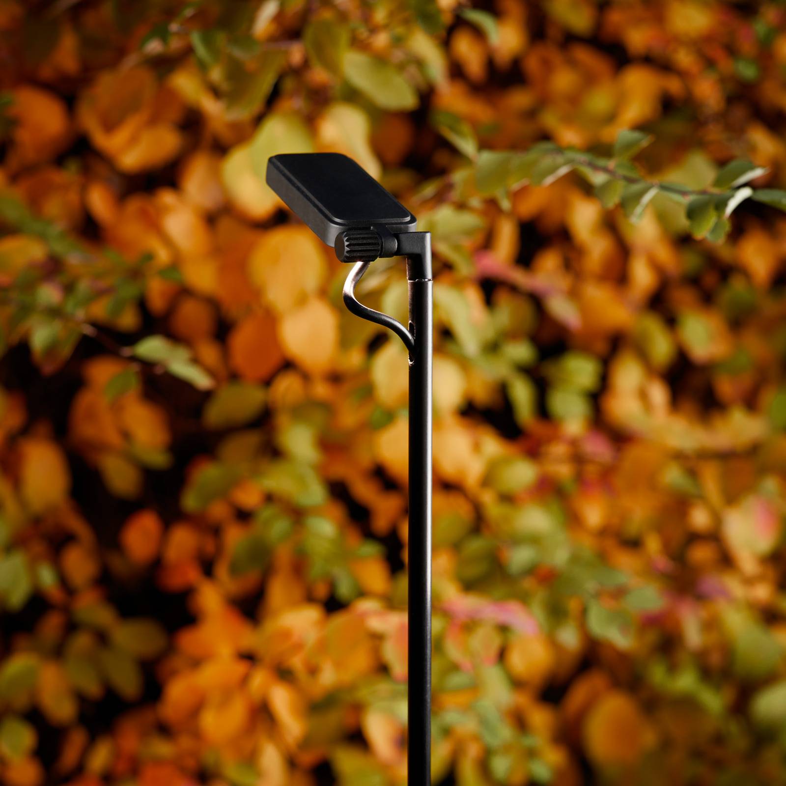 Luceplan Flia Borne lumineuse à 1 lampe