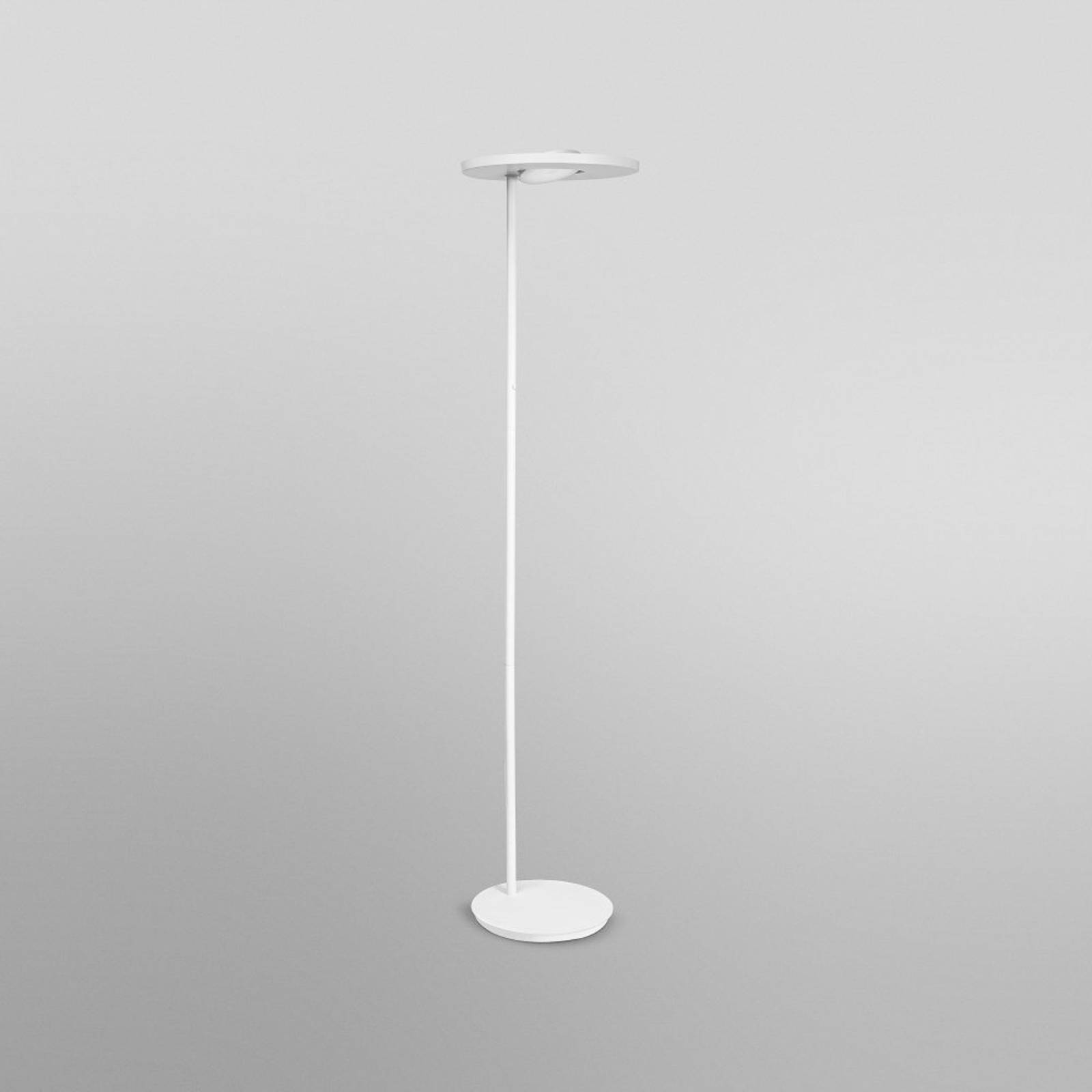 LEDVANCE SMART+ LEDVANCE SUN@Home Panan Floor lampadaire LED LEDVANCE SMART+