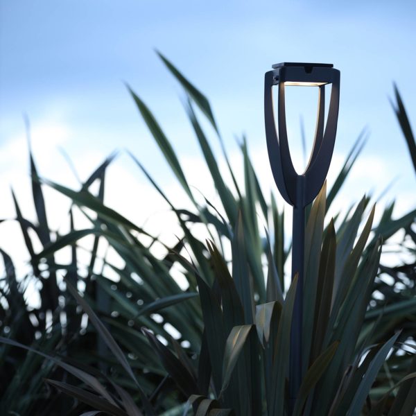 Les Jardins Lampe solaire LED Tulip avec piquet