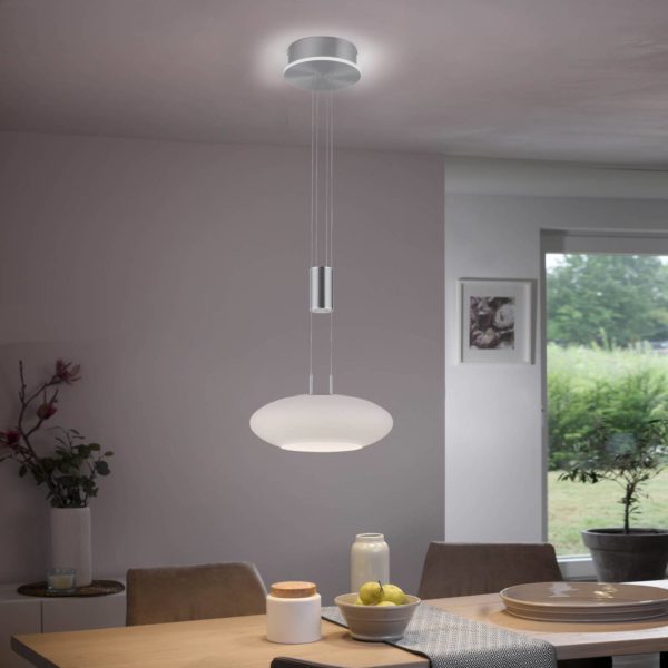 Q-Smart-Home Paul Neuhaus Q-ETIENNE suspension LED 1 lampes Q-Smart-Home