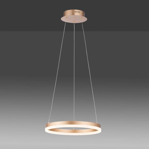 Paul Neuhaus Suspension LED Titus