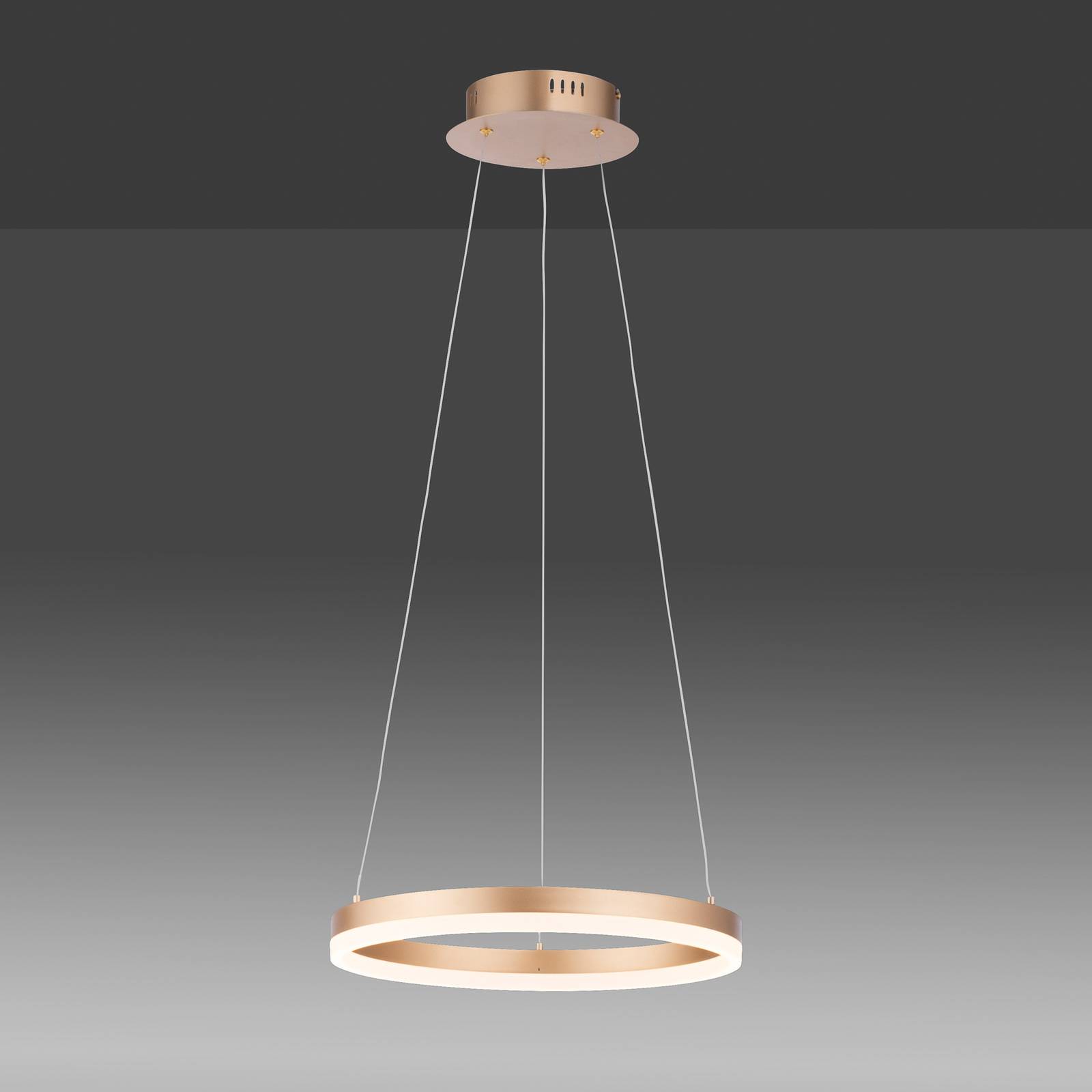 Paul Neuhaus Suspension LED Titus