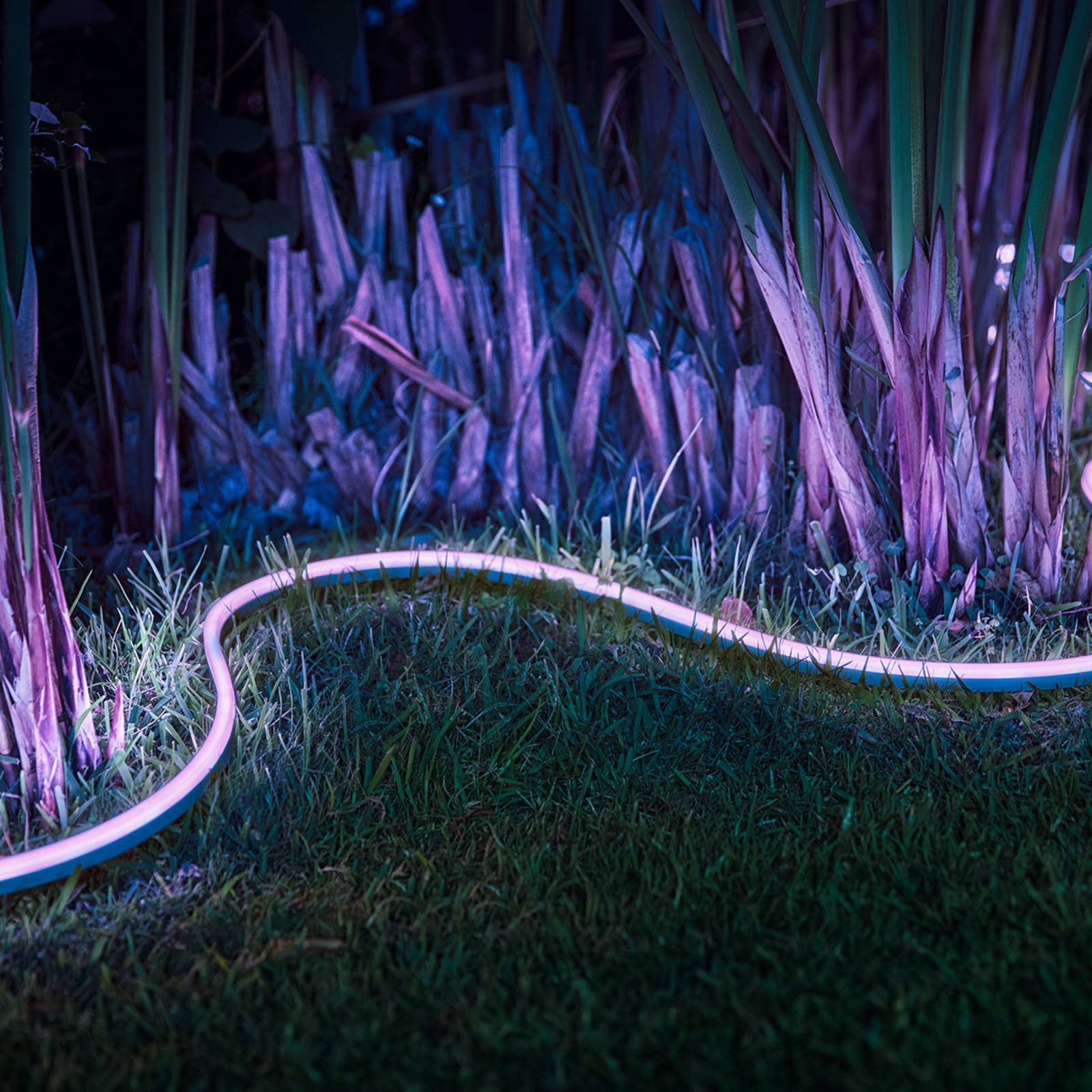 Philips Hue Lightstrip Outdoor 2m White & Color Philips Hue