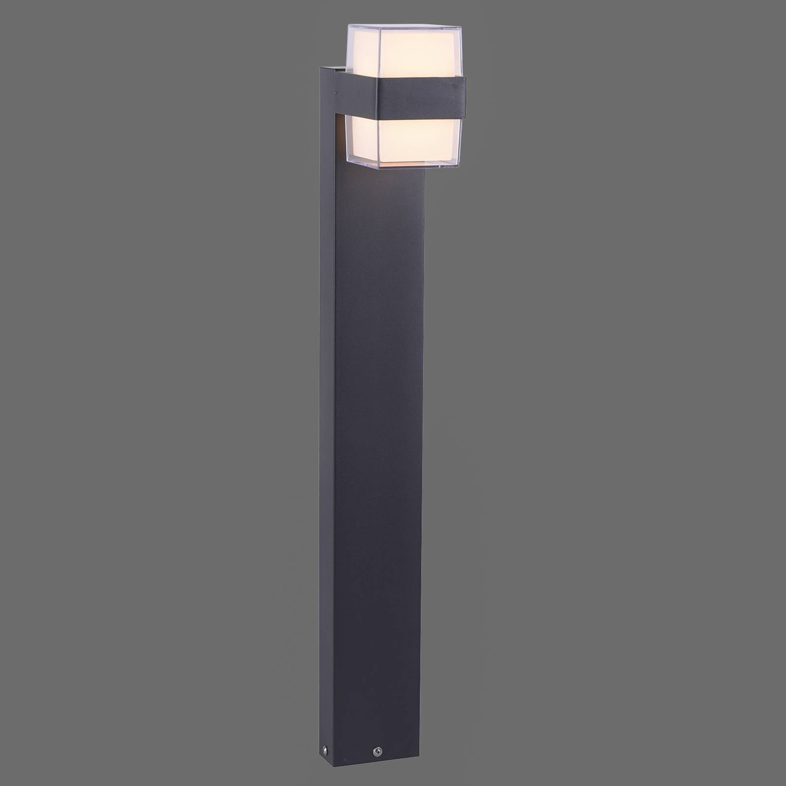 Paul Neuhaus Cara borne lumineuse LED up/down PAUL NEUHAUS