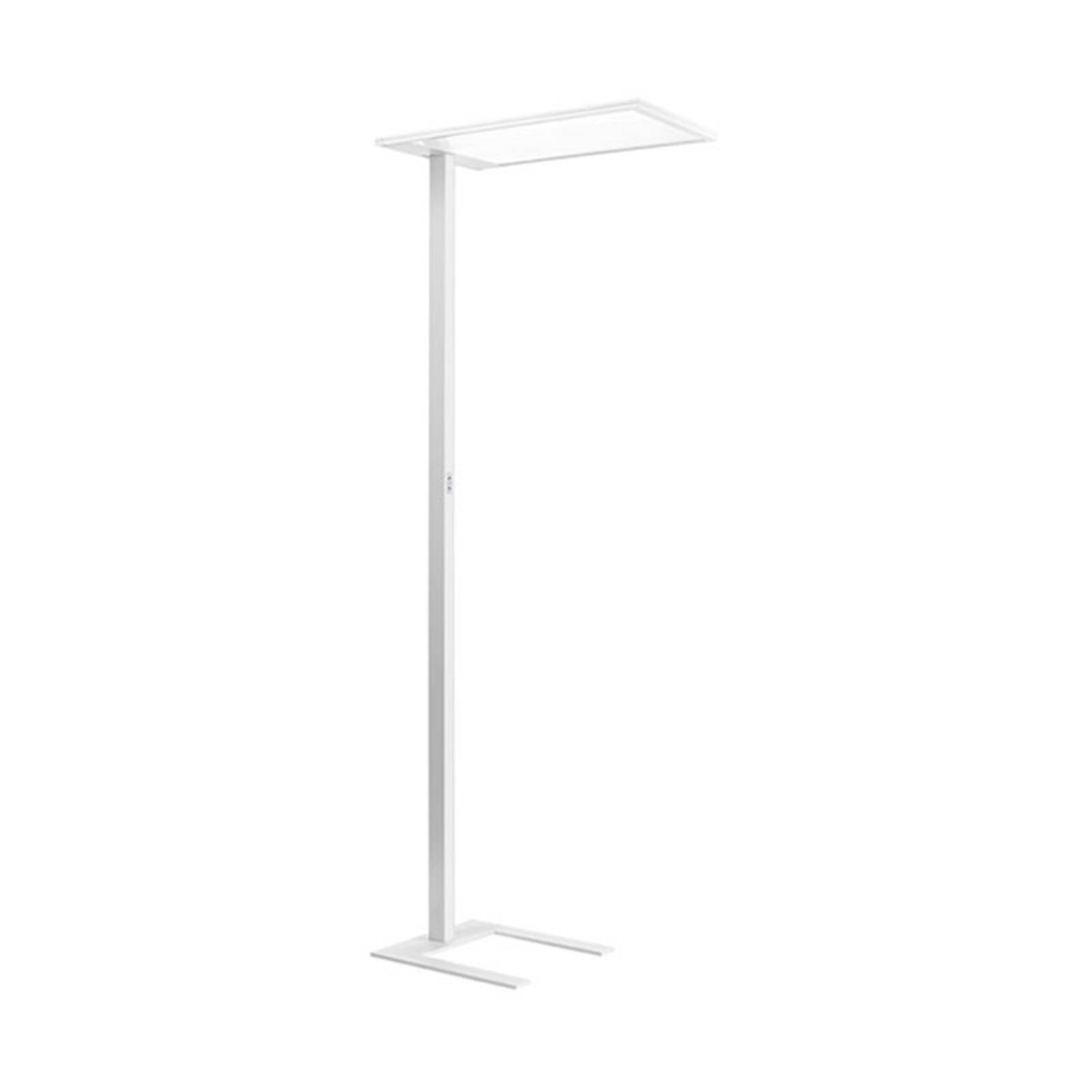 Performance in Lighting Lampadaire LED SL720SL dim tactile 15 500 lm blanc Performance in Lighting