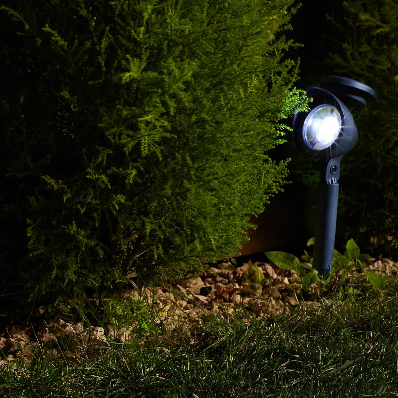 SMART GARDEN Spot sur piquet solaire LED Prima en lot de 4 SMART GARDEN