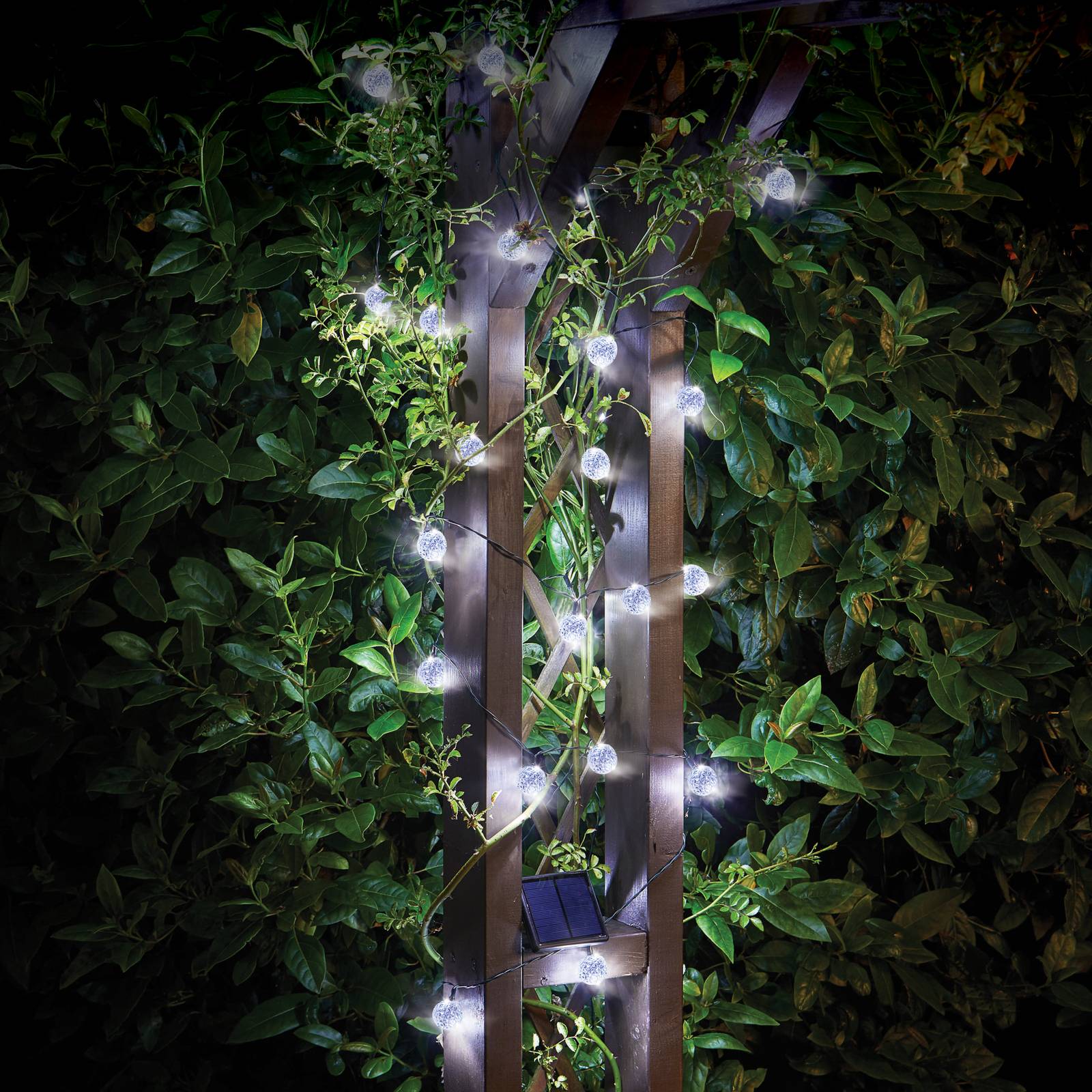 SMART GARDEN Guirlande lumineuse LED Super Bright