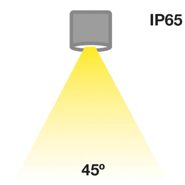 The Light Group SLC MiniOne Fixed downlight LED IP65 noir 927 The Light Group