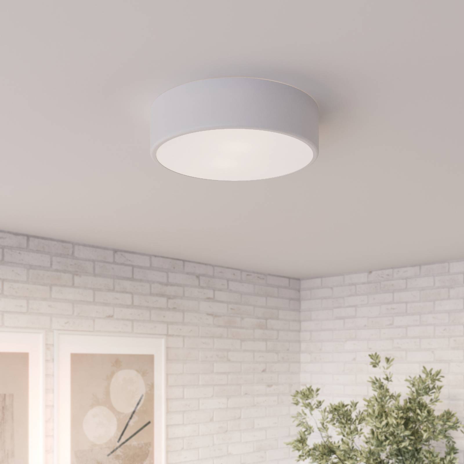 TEMAR LIGHTING Plafonnier Cleo