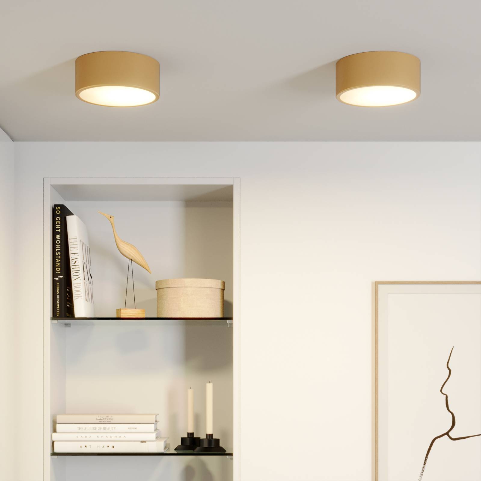 TEMAR LIGHTING Plafonnier Cleo