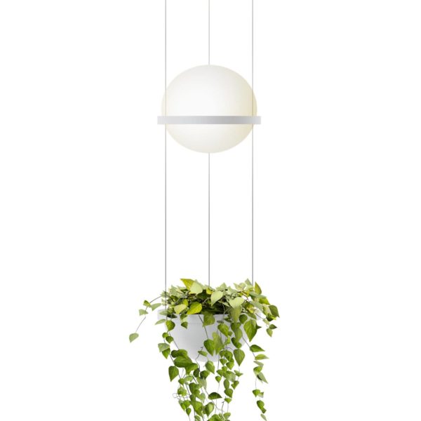 Vibia Palma 3724 suspension