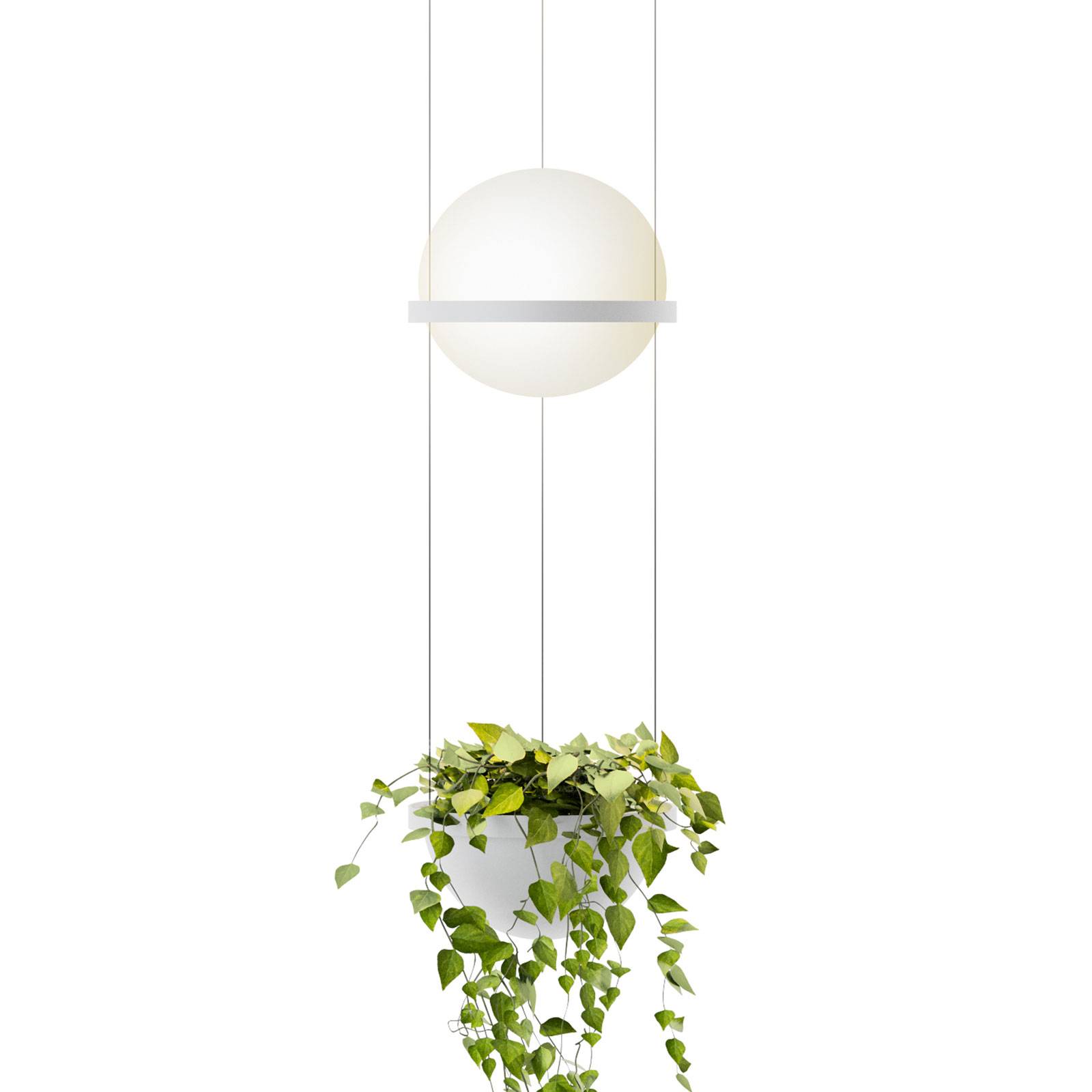 Vibia Palma 3724 suspension