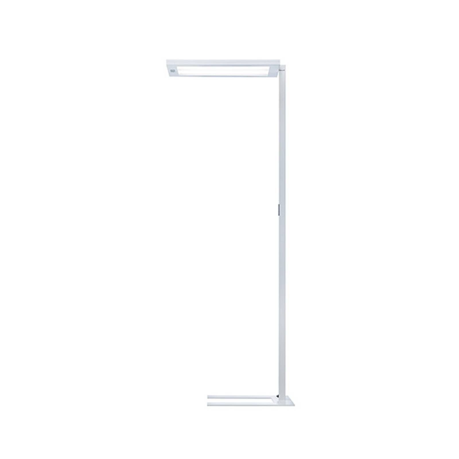 Waldmann Lampadaire LED Lavigo DPS 16500/840/R/G2 blanc Waldmann